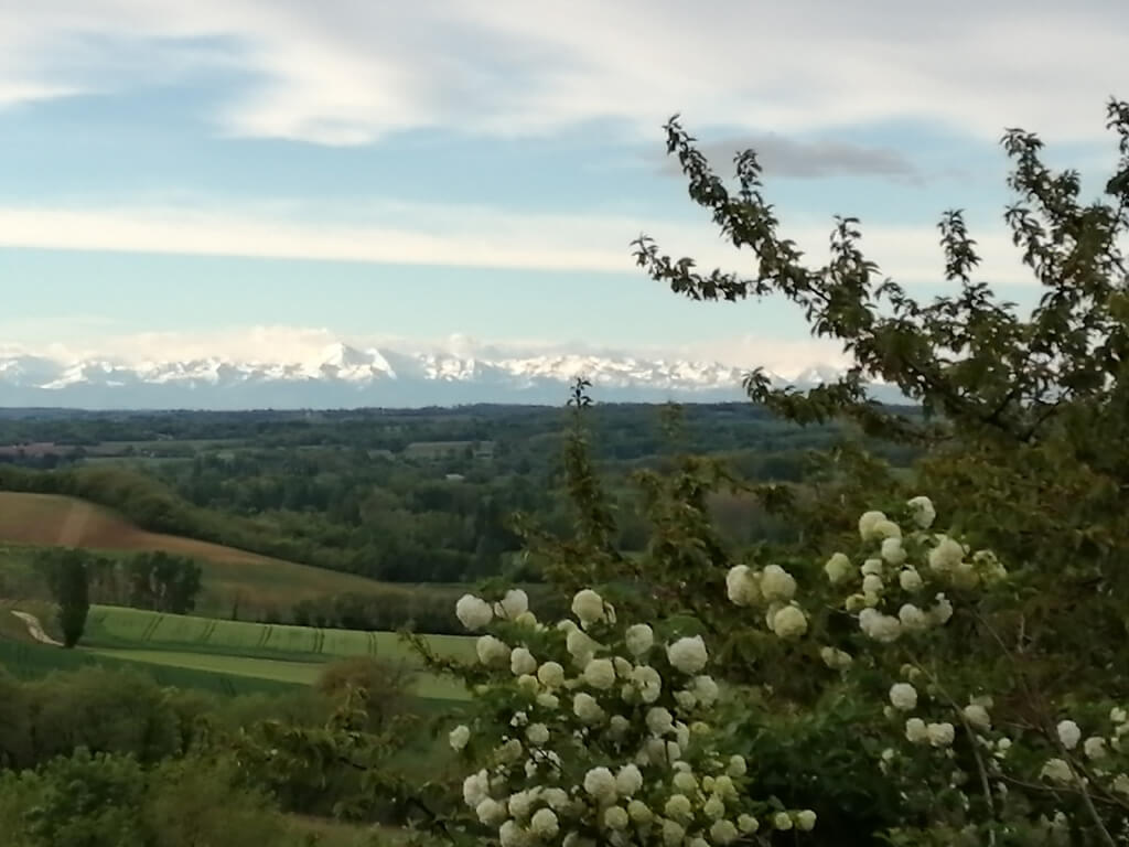 pyrenees2